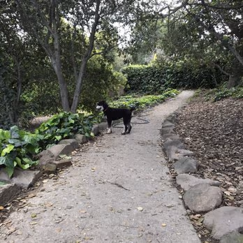 Linda Park Dog Park photo 1